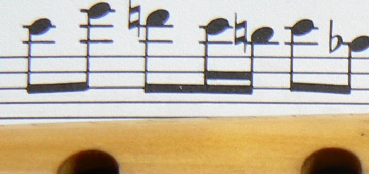 Transcriptions pour flûtes à bvec